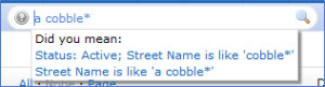 A captcha message with the word " street name ".